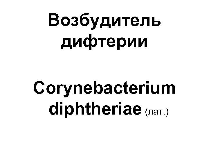 Возбудитель дифтерии Corynebacterium diphtheriae (лат. ) 