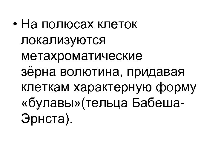  • На полюсах клеток локализуются метахроматические зёрна волютина, придавая клеткам характерную форму «булавы»