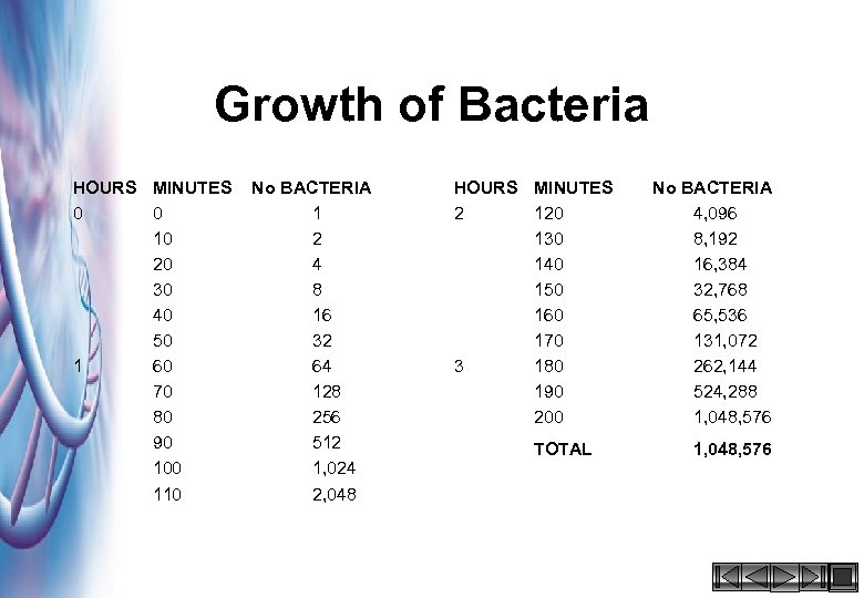 Growth of Bacteria HOURS MINUTES 0 0 10 20 30 40 50 1 60