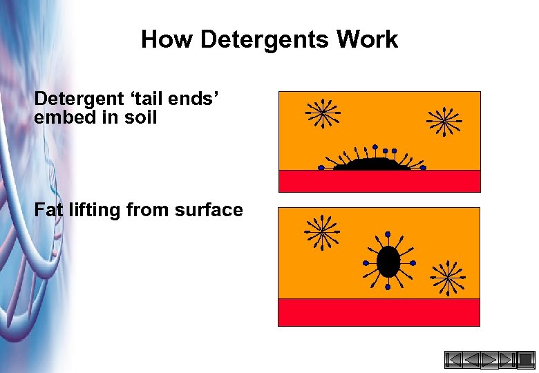 How Detergents Work Detergent ‘tail ends’ embed in soil Fat lifting from surface HACCP