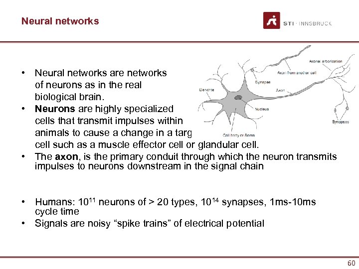 Neural networks • Neural networks are networks of neurons as in the real biological