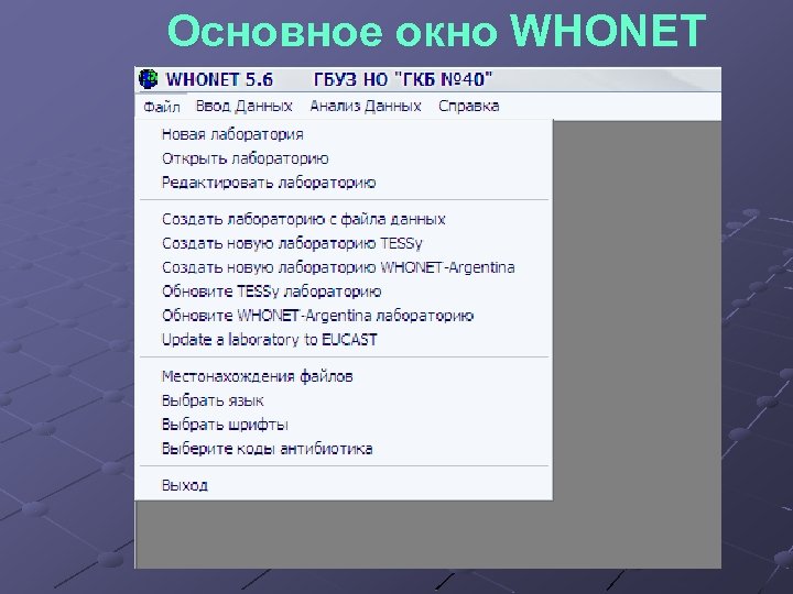 Основное окно WHONET 