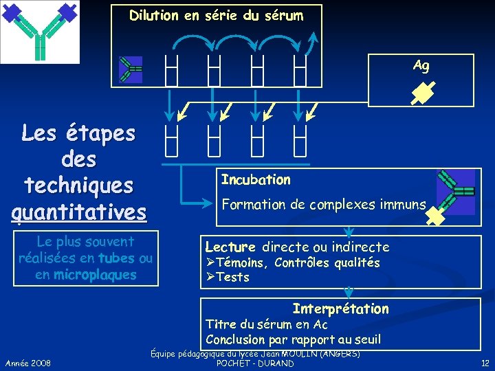 Dilution en série du sérum Ag Les étapes des techniques quantitatives Incubation Formation de