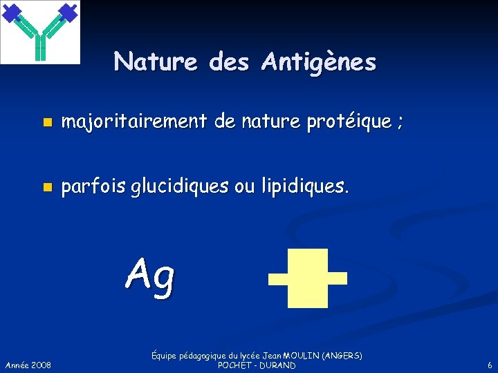 Nature des Antigènes n majoritairement de nature protéique ; n parfois glucidiques ou lipidiques.