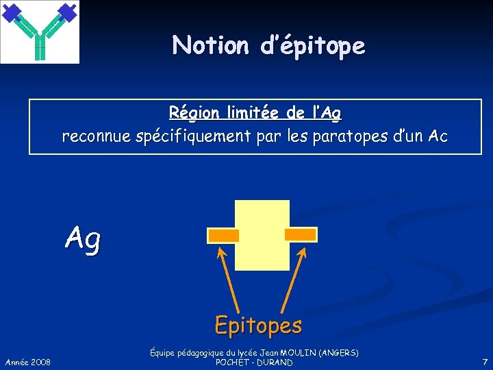 Notion d’épitope Région limitée de l’Ag reconnue spécifiquement par les paratopes d’un Ac Ag