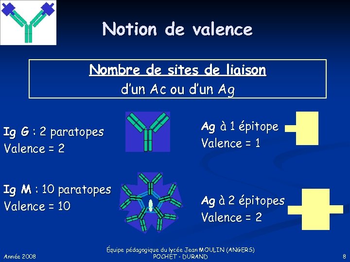 Notion de valence Nombre de sites de liaison d’un Ac ou d’un Ag Ag