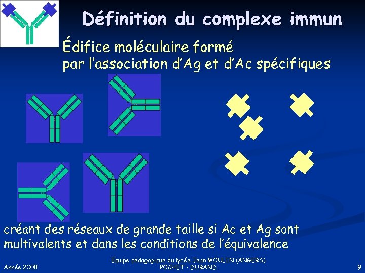 Définition du complexe immun Édifice moléculaire formé par l’association d’Ag et d’Ac spécifiques créant