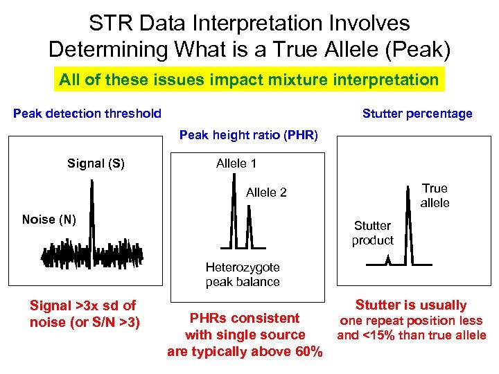 STR Data Interpretation Involves Determining What is a True Allele (Peak) All of these