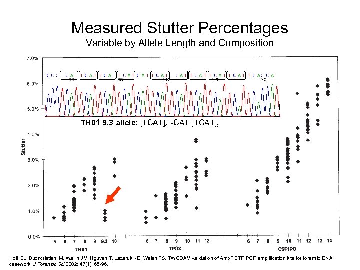 Measured Stutter Percentages Variable by Allele Length and Composition TH 01 9. 3 allele: