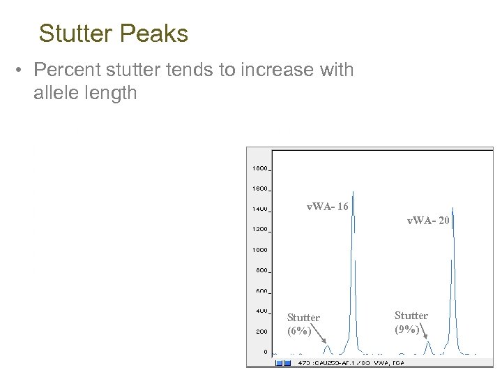 Stutter Peaks • Percent stutter tends to increase with allele length v. WA- 16