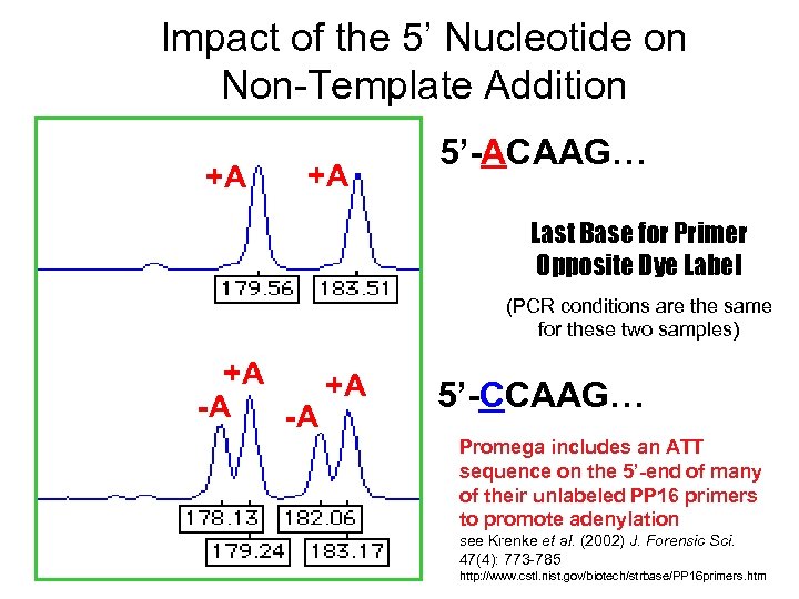 Impact of the 5’ Nucleotide on Non-Template Addition +A +A 5’-ACAAG… Last Base for