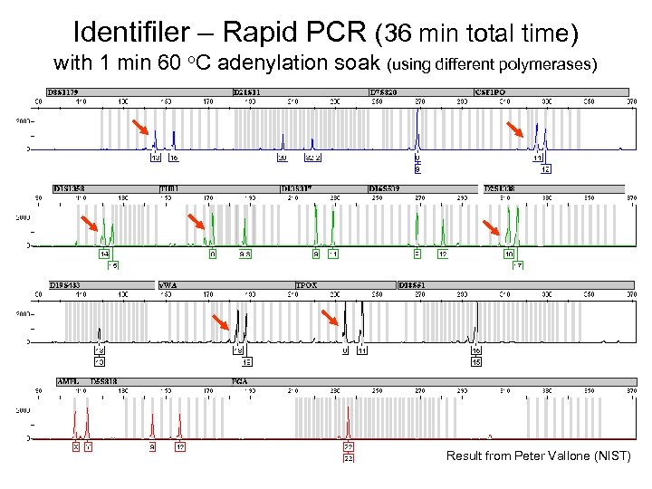 Identifiler – Rapid PCR (36 min total time) with 1 min 60 o. C