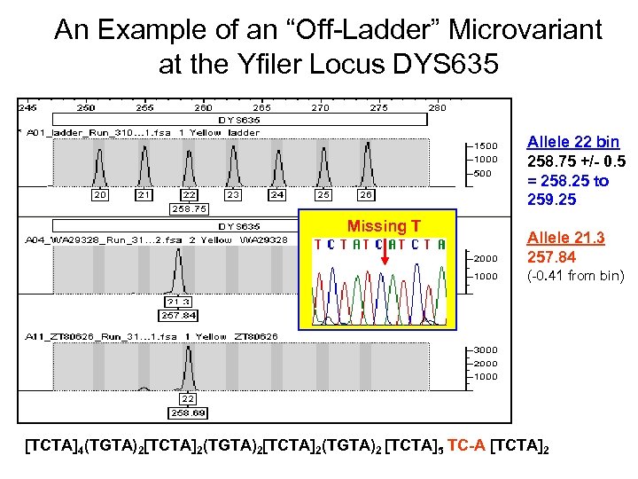 An Example of an “Off-Ladder” Microvariant at the Yfiler Locus DYS 635 Allele 22