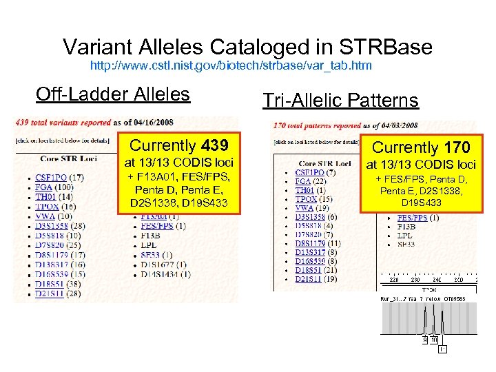 Variant Alleles Cataloged in STRBase http: //www. cstl. nist. gov/biotech/strbase/var_tab. htm Off-Ladder Alleles Currently