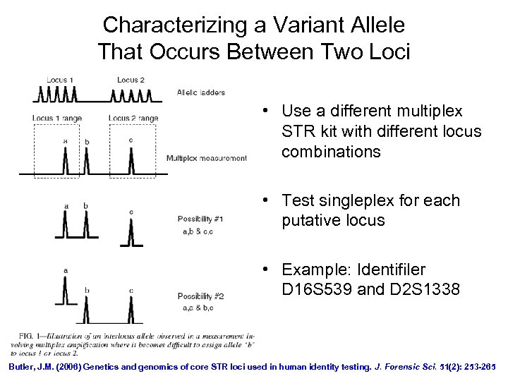 Characterizing a Variant Allele That Occurs Between Two Loci • Use a different multiplex