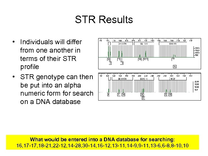 STR Results • Individuals will differ from one another in terms of their STR