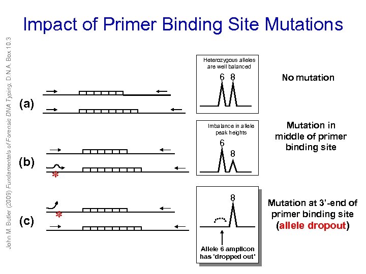 John M. Butler (2009) Fundamentals of Forensic DNA Typing, D. N. A. Box 10.