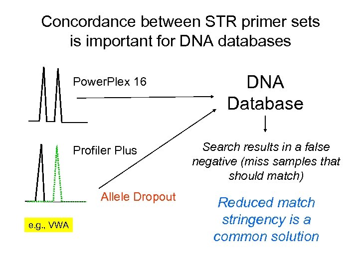 Concordance between STR primer sets is important for DNA databases Power. Plex 16 Profiler