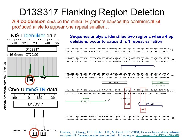 D 13 S 317 Flanking Region Deletion A 4 bp deletion outside the mini.