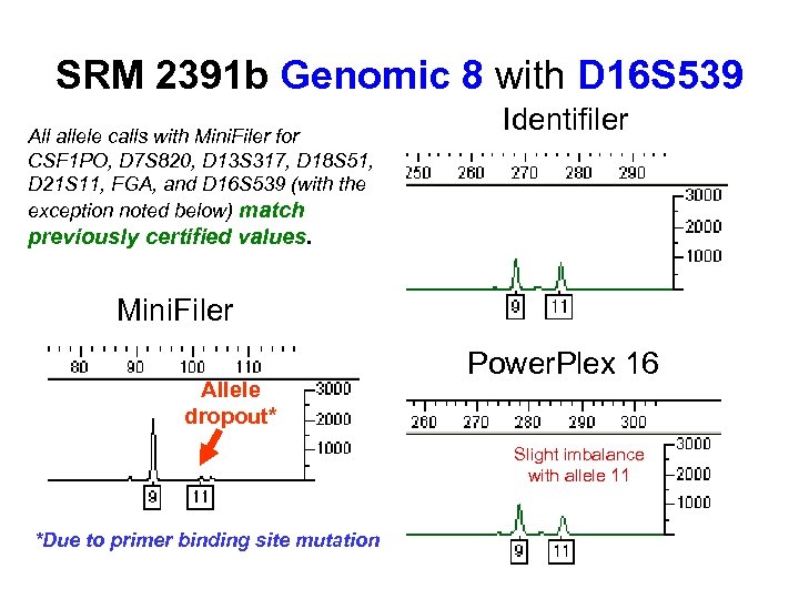 SRM 2391 b Genomic 8 with D 16 S 539 All allele calls with