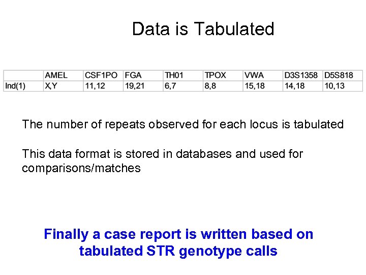 Data is Tabulated The number of repeats observed for each locus is tabulated This