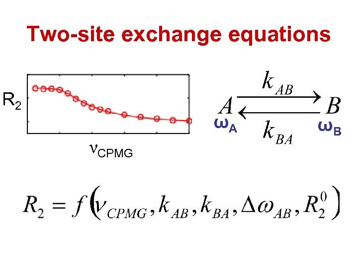 Two-site exchange equations R 2 ωA νCPMG ωB 