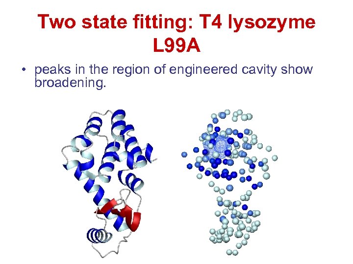 Two state fitting: T 4 lysozyme L 99 A • peaks in the region