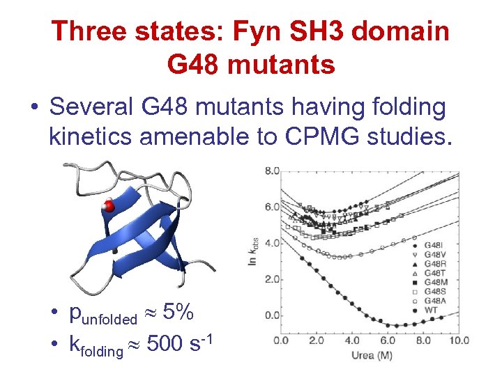 Three states: Fyn SH 3 domain G 48 mutants • Several G 48 mutants