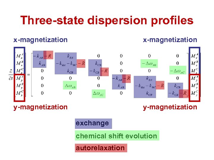Three-state dispersion profiles x-magnetization y-magnetization exchange chemical shift evolution autorelaxation 