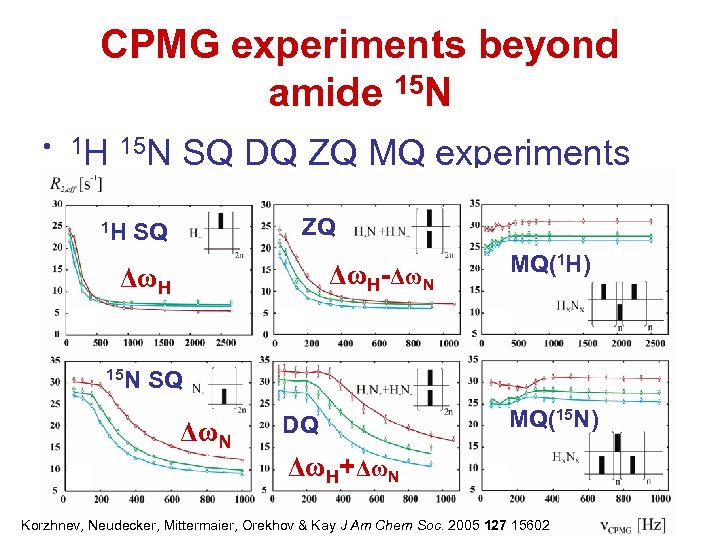 CPMG experiments beyond amide 15 N • 1 H 15 N 1 H SQ