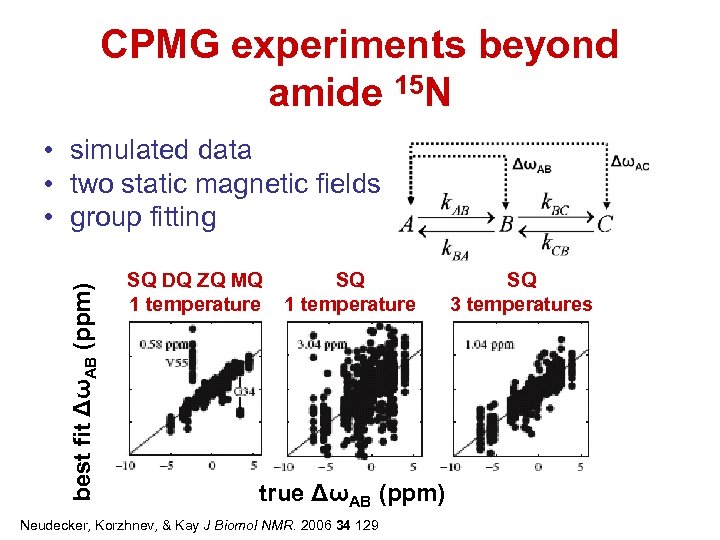 CPMG experiments beyond amide 15 N best fit ΔωAB (ppm) • simulated data •
