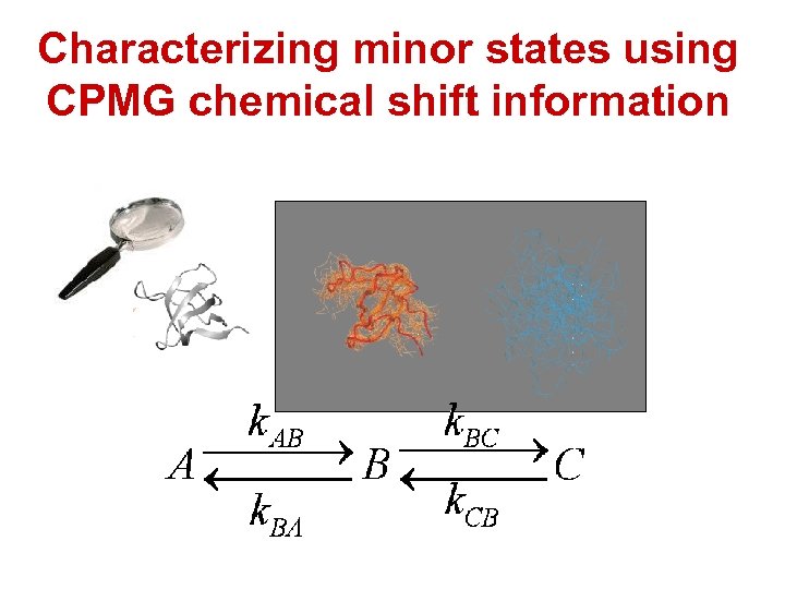 Characterizing minor states using CPMG chemical shift information 