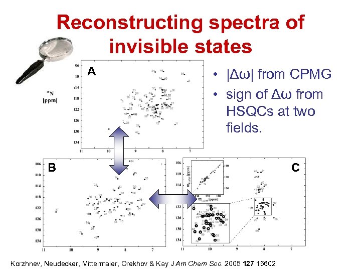 Reconstructing spectra of invisible states A • |Δω| from CPMG • sign of Δω