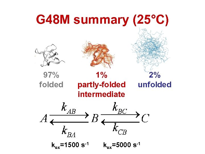 G 48 M summary (25°C) 97% folded 1% partly-folded intermediate kex=1500 s-1 2% unfolded
