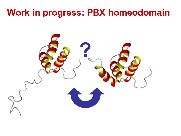 Work in progress: PBX homeodomain ? 
