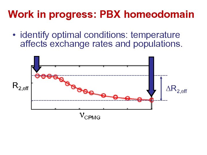 Work in progress: PBX homeodomain • identify optimal conditions: temperature affects exchange rates and