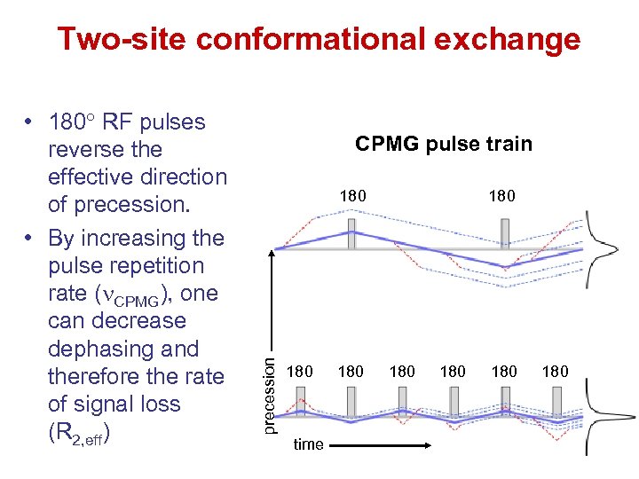 Two-site conformational exchange CPMG pulse train 180 precession • 180 RF pulses reverse the
