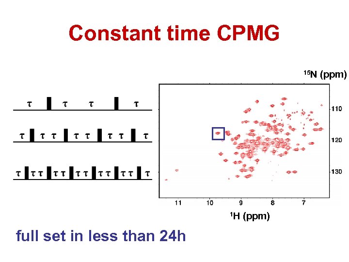 Constant time CPMG 15 N 1 H full set in less than 24 h