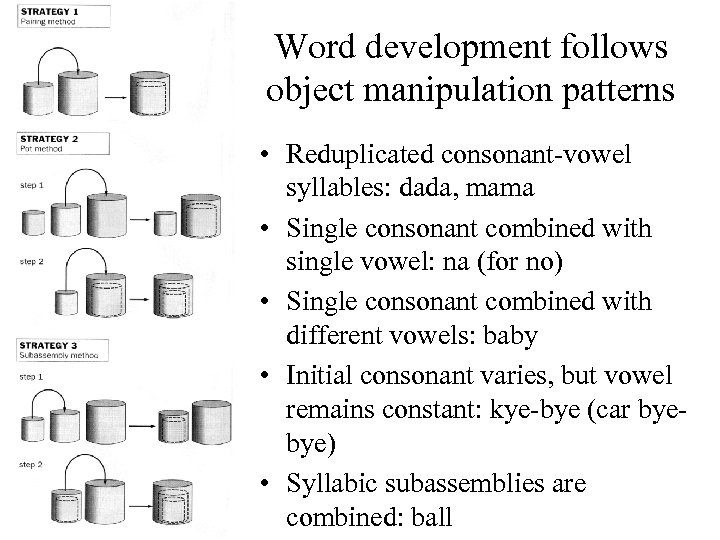 Word development follows object manipulation patterns • Reduplicated consonant-vowel syllables: dada, mama • Single