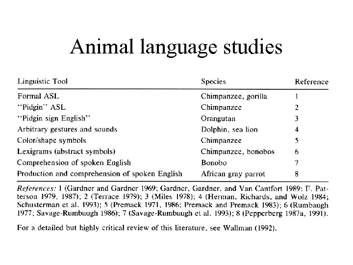 Animal language studies 