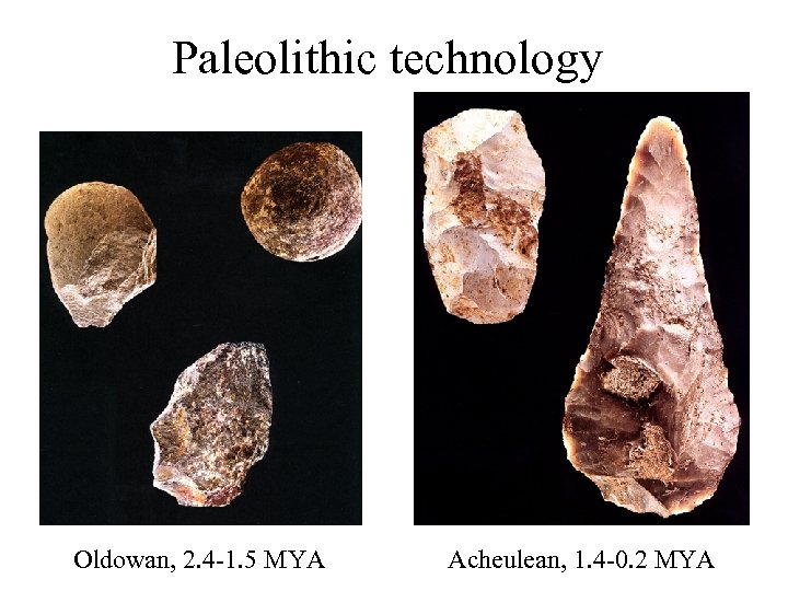 Paleolithic technology Oldowan, 2. 4 -1. 5 MYA Acheulean, 1. 4 -0. 2 MYA