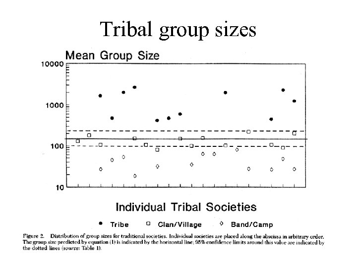 Tribal group sizes 