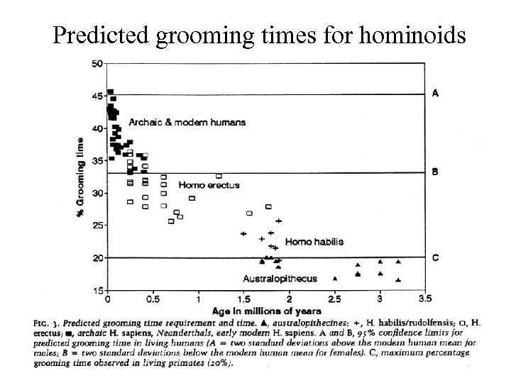 Predicted grooming times for hominoids 