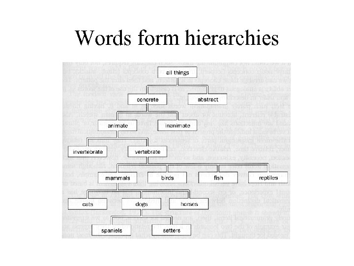 Words form hierarchies 