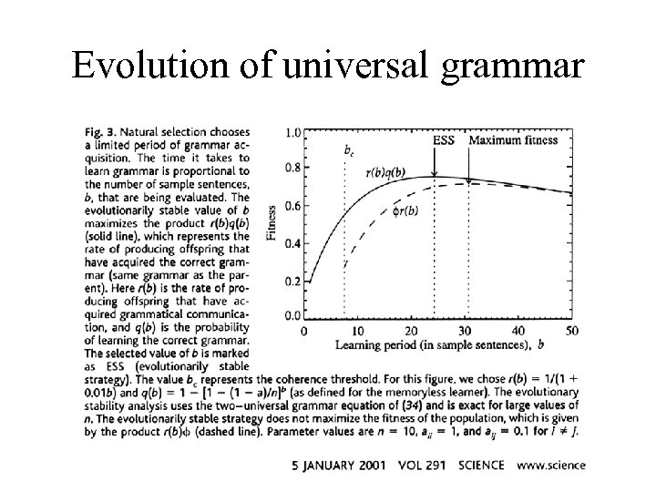 Evolution of universal grammar 