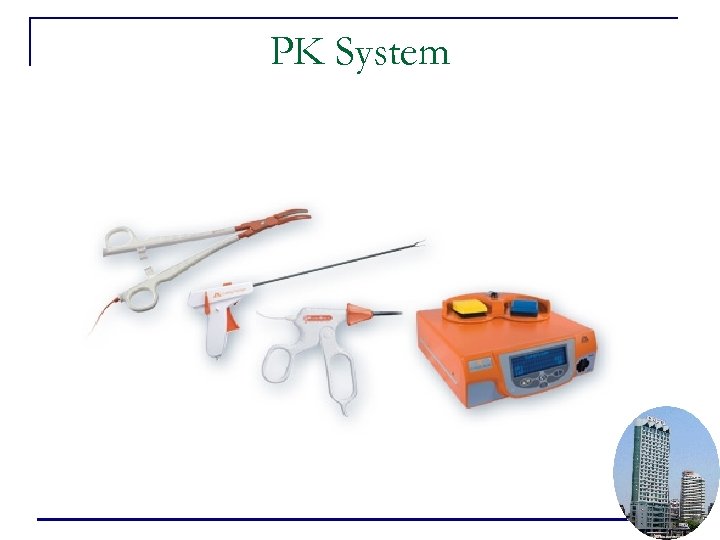 PK System 