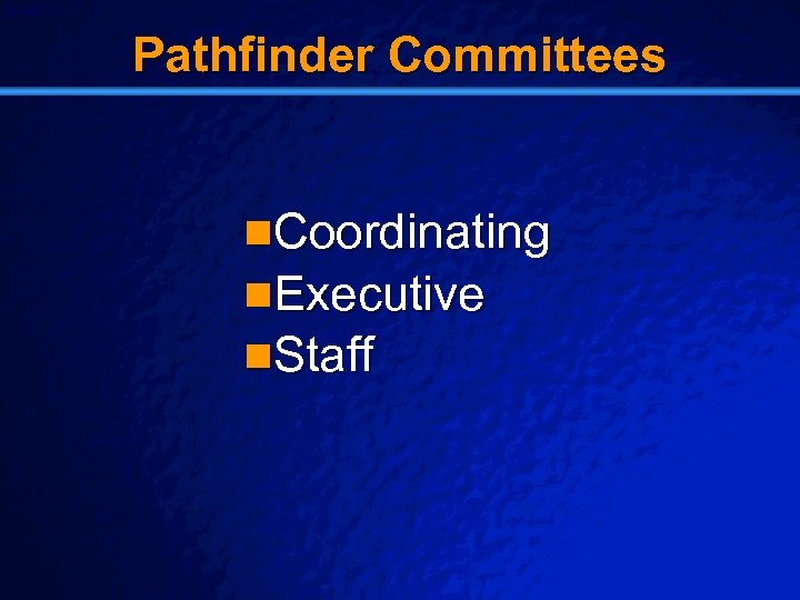 Slide 12 © 2003 By Default! Pathfinder Committees n. Coordinating n. Executive n. Staff