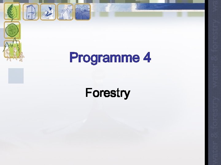 Programme 4 Forestry 