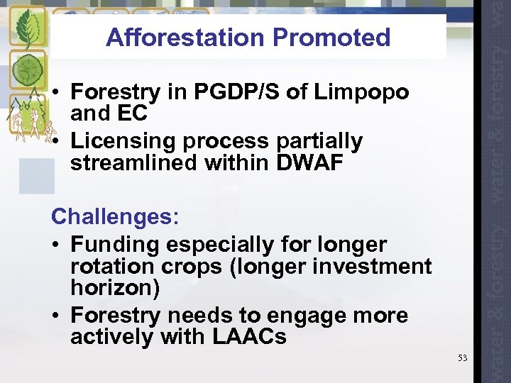 Afforestation Promoted • Forestry in PGDP/S of Limpopo and EC • Licensing process partially