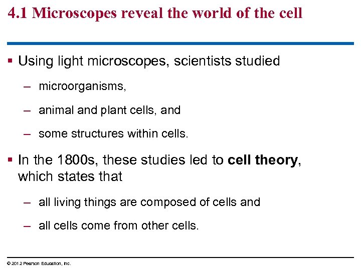 4. 1 Microscopes reveal the world of the cell § Using light microscopes, scientists